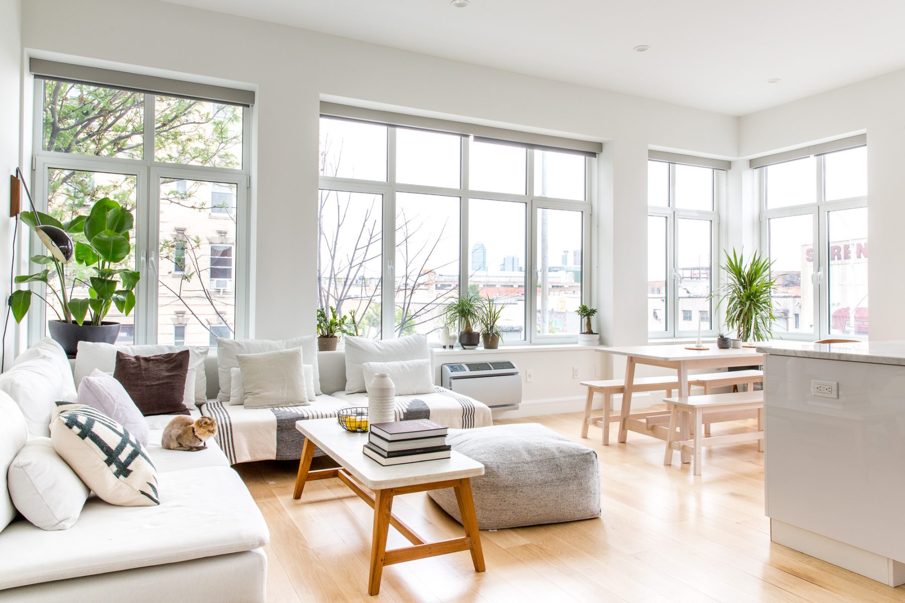 Professional House Cleaning in Provo, UT